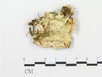 登錄號:F0009421藏品圖，第4張