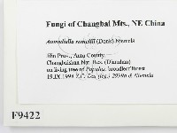 登錄號:F0009422藏品圖，第2張