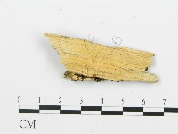 登錄號:F0009422藏品圖，第3張