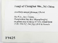 登錄號:F0009425藏品圖，第2張