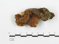 登錄號:F0009425藏品圖，第3張