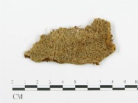 登錄號:F0009426藏品圖，第1張