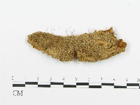 登錄號:F0009427藏品圖，第1張