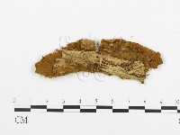 登錄號:F0009427藏品圖，第3張
