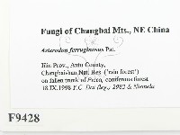 登錄號:F0009428藏品圖，第2張
