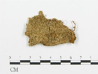 登錄號:F0009428藏品圖，第1張
