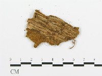 登錄號:F0009428藏品圖，第3張