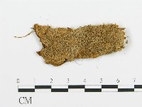 登錄號:F0009429藏品圖，第1張