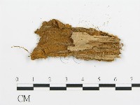 登錄號:F0009429藏品圖，第3張
