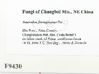 登錄號:F0009430藏品圖，第2張