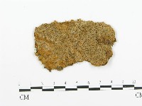 登錄號:F0009430藏品圖，第1張