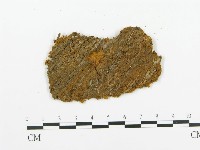 登錄號:F0009430藏品圖，第3張