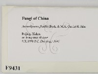 登錄號:F0009431藏品圖，第2張