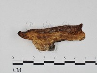 登錄號:F0009431藏品圖，第1張