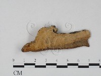 登錄號:F0009431藏品圖，第3張