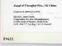 登錄號:F0009432藏品圖，第2張