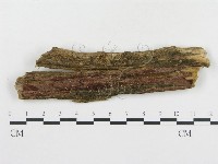 登錄號:F0009432藏品圖，第3張