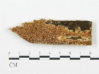 登錄號:F0009433藏品圖，第1張