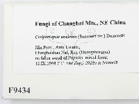 登錄號:F0009434藏品圖，第2張