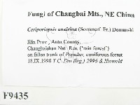 登錄號:F0009435藏品圖，第2張