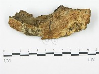 登錄號:F0009435藏品圖，第1張