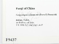 登錄號:F0009437藏品圖，第2張