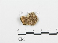 登錄號:F0009437藏品圖，第1張