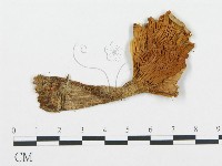 登錄號:F0009438藏品圖，第3張