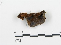 登錄號:F0009439藏品圖，第1張