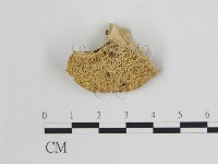 登錄號:F0009442藏品圖，第1張