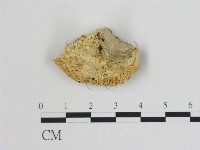 登錄號:F0009442藏品圖，第3張