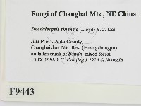 登錄號:F0009443藏品圖，第2張