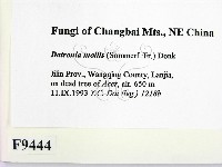 登錄號:F0009444藏品圖，第2張