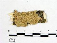 登錄號:F0009444藏品圖，第1張