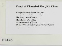登錄號:F0009446藏品圖，第2張