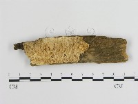 登錄號:F0009446藏品圖，第1張