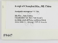 登錄號:F0009447藏品圖，第2張