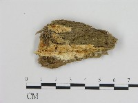 登錄號:F0009447藏品圖，第1張