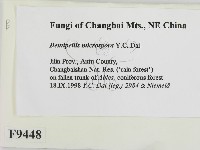 登錄號:F0009448藏品圖，第2張