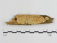 登錄號:F0009448藏品圖，第1張