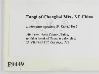 登錄號:F0009449藏品圖，第2張