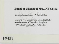 登錄號:F0009451藏品圖，第2張