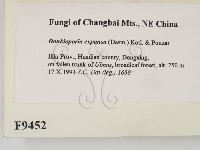 登錄號:F0009452藏品圖，第2張