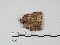 登錄號:F0009452藏品圖，第3張