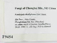 登錄號:F0009454藏品圖，第2張