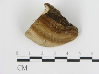 登錄號:F0009454藏品圖，第3張