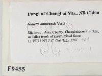 登錄號:F0009455藏品圖，第2張