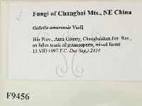 登錄號:F0009456藏品圖，第2張