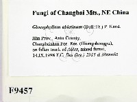 登錄號:F0009457藏品圖，第2張