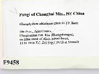 登錄號:F0009458藏品圖，第2張